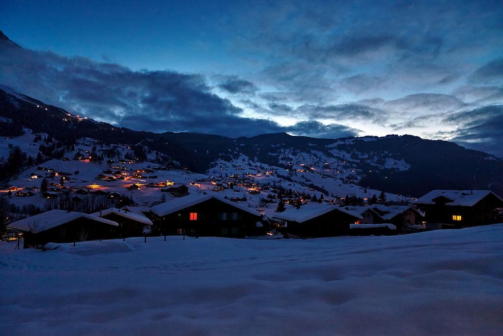 Mom - Alpine Boutique Apartments, Chalet Fagus, Terrace Studio 格林德瓦 外观 照片