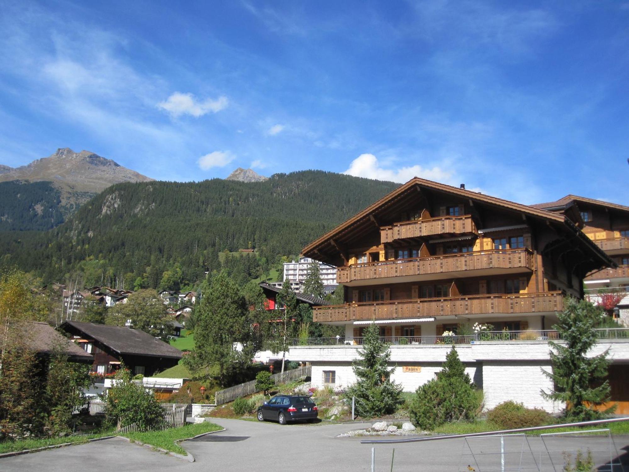 Mom - Alpine Boutique Apartments, Chalet Fagus, Terrace Studio 格林德瓦 外观 照片