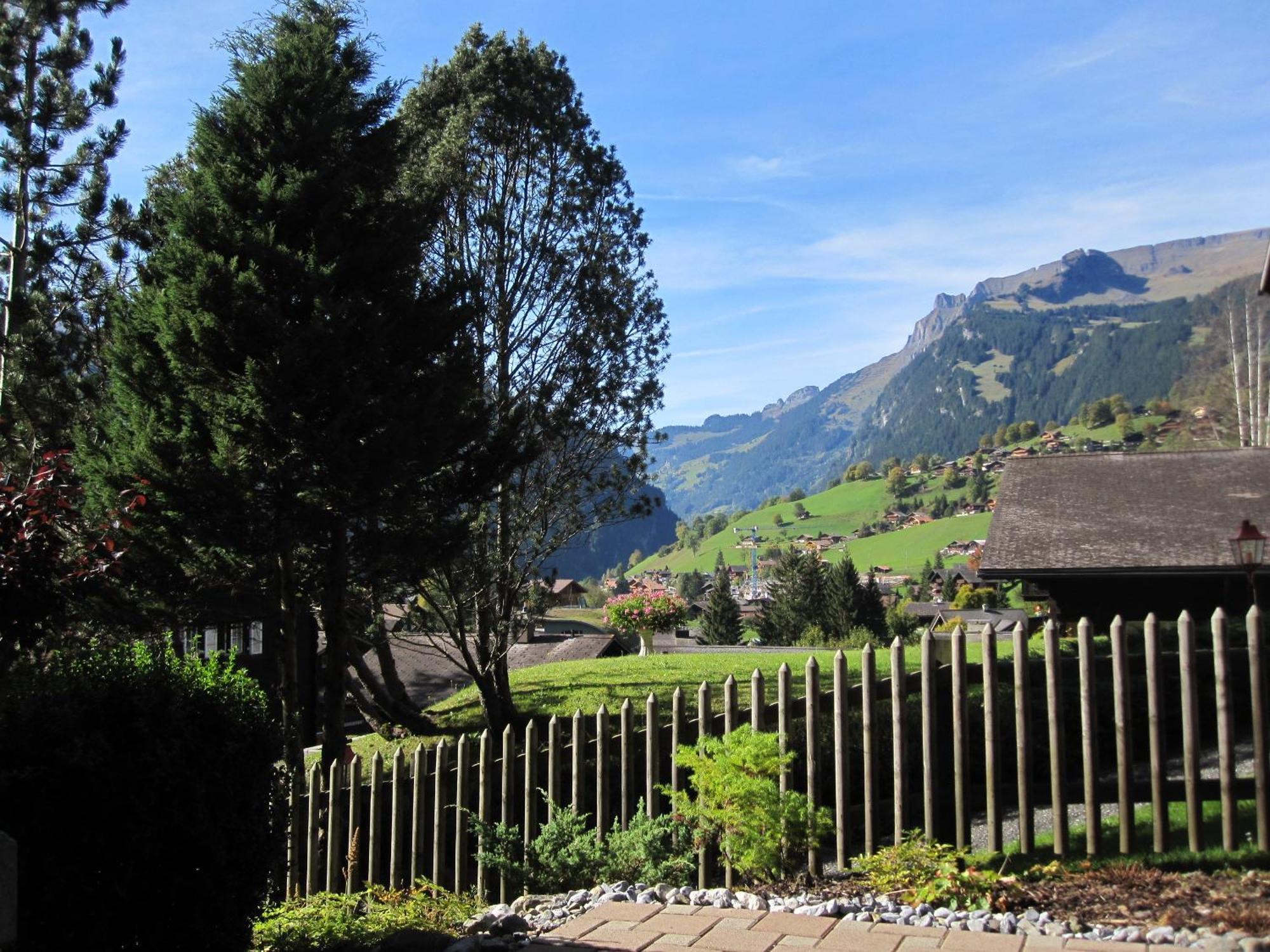 Mom - Alpine Boutique Apartments, Chalet Fagus, Terrace Studio 格林德瓦 外观 照片