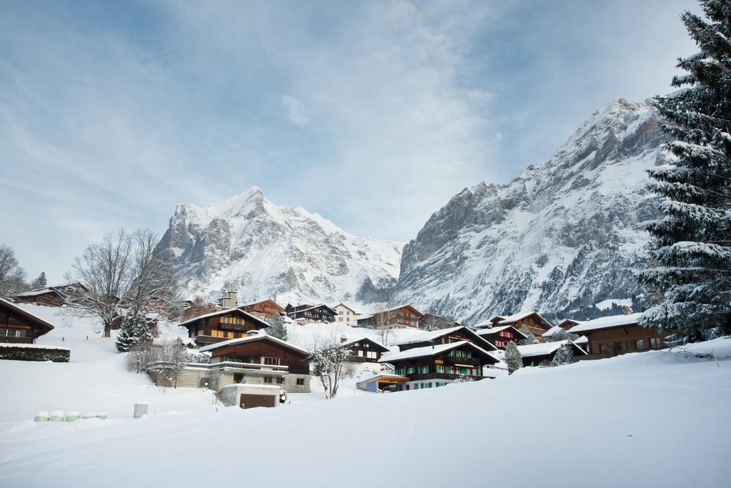 Mom - Alpine Boutique Apartments, Chalet Fagus, Terrace Studio 格林德瓦 外观 照片