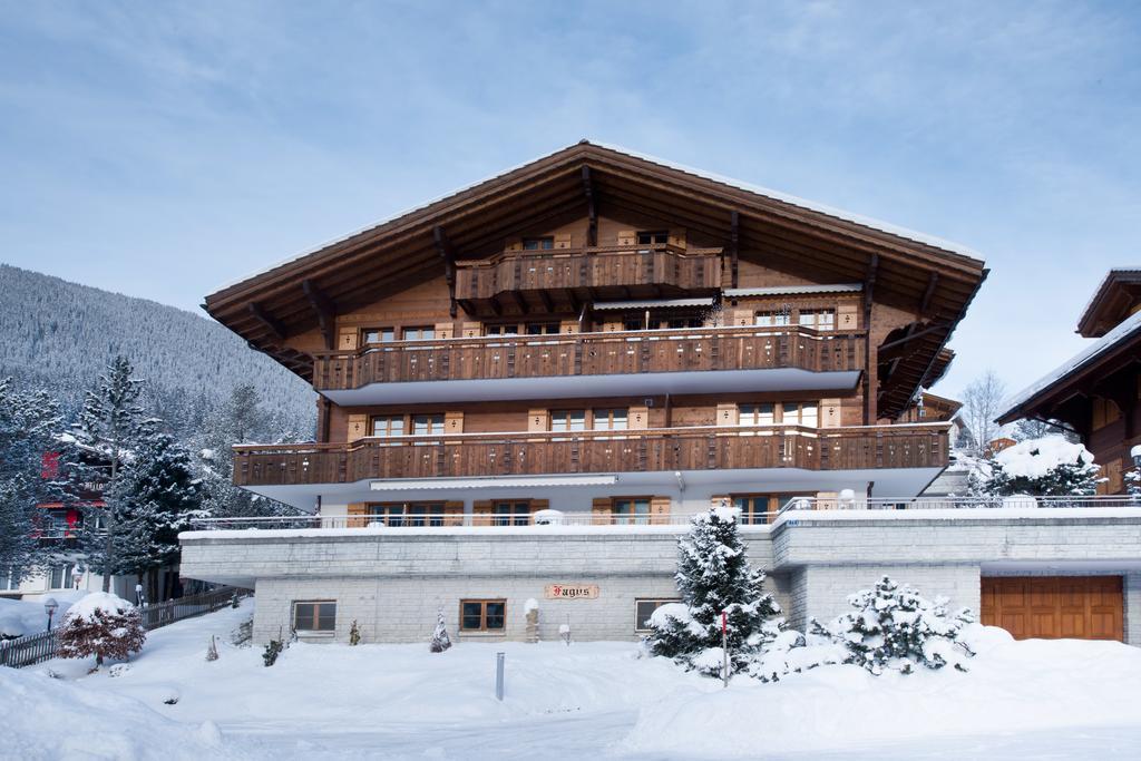 Mom - Alpine Boutique Apartments, Chalet Fagus, Terrace Studio 格林德瓦 外观 照片