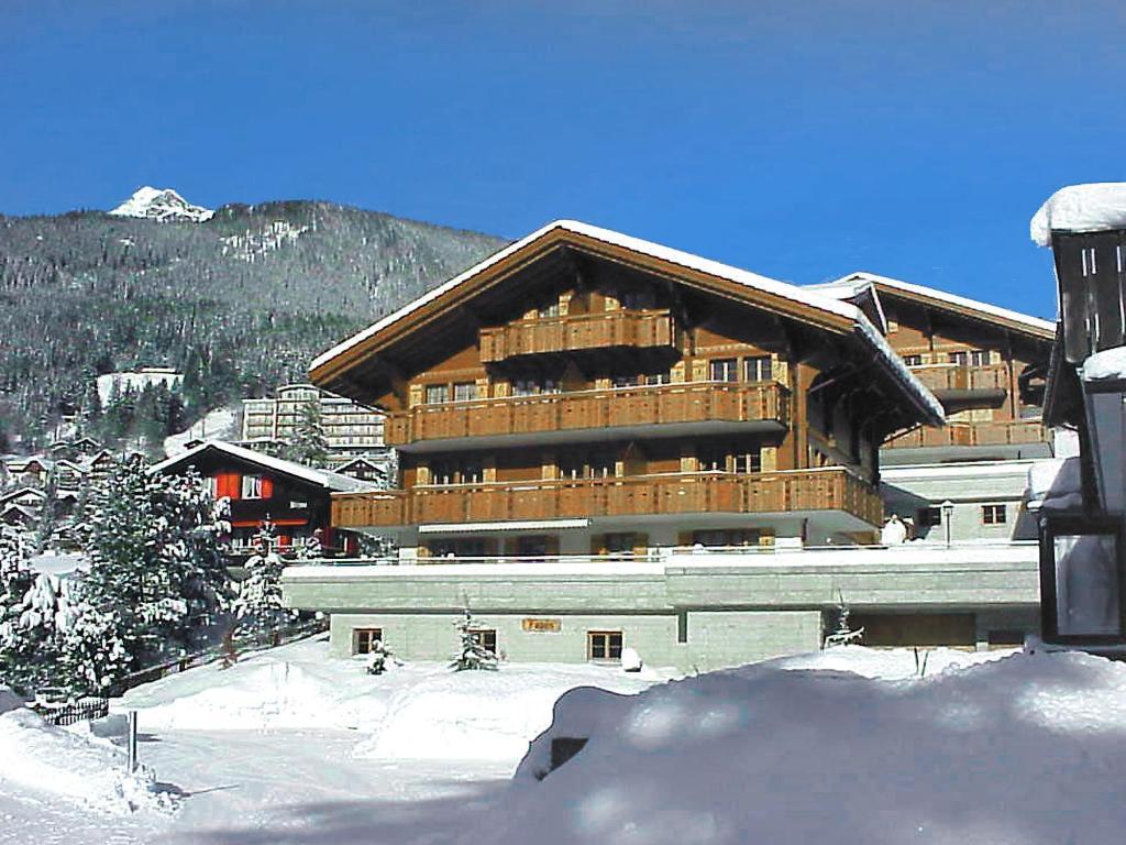 Mom - Alpine Boutique Apartments, Chalet Fagus, Terrace Studio 格林德瓦 客房 照片
